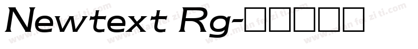 Newtext Rg字体转换